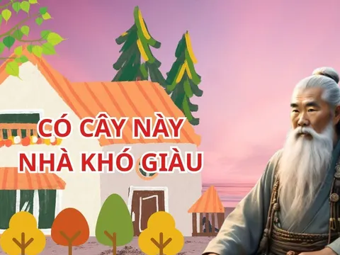 Người xưa dạy: 5 cây cảnh đẹp, có thích cũng không trồng trước nhà, cây tốt thì người suy. Là cây gì?