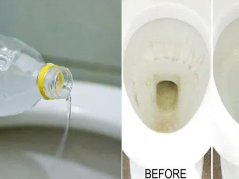 Nhà vệ sinh bốc mùi hôi tanh: Đổ thứ này vào mùi hôi bay sạch, không tốn tiền