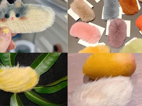 Trào lưu biến hạt xoài vứt đi thành thú cưng quý như "cục vàng": Độc lạ và đầy thú vị!