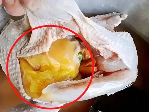 Bụng gà có 1 cục mỡ vàng: Nên ăn hay bỏ? Chỉ người sành ăn mới biết dùng