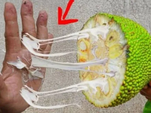 Bóc mít dính đầy nhựa trên tay? Dùng ngay gia vị quen thuộc này, sạch bong trong vài giây