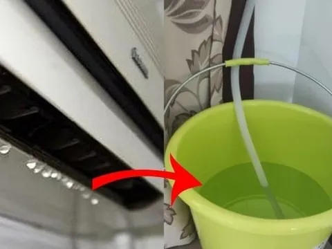 Nước chảy ra từ điều hòa đừng vội đổ bỏ: 4 công dụng ai không dùng quá phí