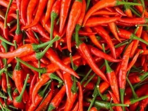 Mỡ máu cao gây bệnh tim, đột quỵ nhưng “kỵ” quả rẻ tiền bán nhiều ở chợ Việt