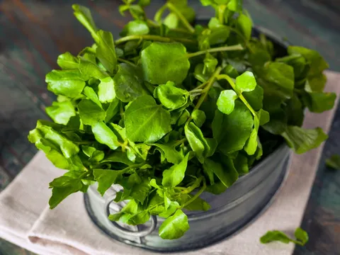 Loại rau "nhỏ mà có võ" được giới khoa học ca ngợi là siêu thực phẩm số 1 thế giới