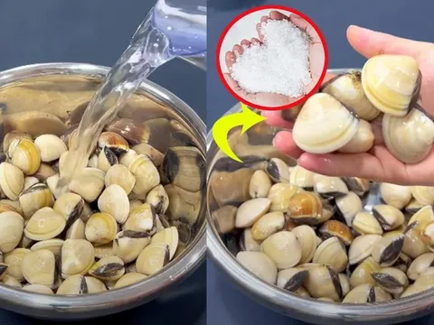 Rửa ngao ốc, người cho ớt, người cho rượu, sai hết: Thêm vào thứ này ngao ốc nhả sạch bẩn