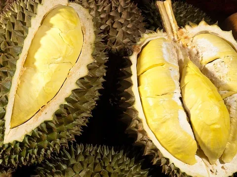 Người mắc 5 bệnh này tuyệt đối không nên ăn sầu riêng