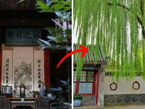 Người xưa dạy không sai: " Trong sân tránh trồng 3 cây, trong nhà kiêng treo 3 vật", con cháu nhớ nghe theo