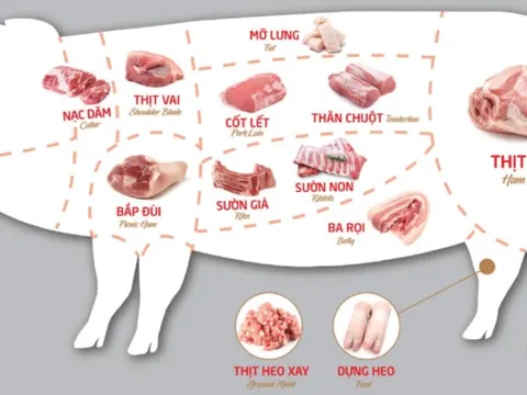 5 bộ phận của con lợn người bán để giá rẻ cũng đừng mua: Ăn vào chỉ thêm bệnh