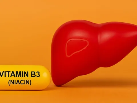 Phát hiện gây sốc: Loại vitamin quen thuộc có thể là “vũ khí bí mật” chống lại bệnh gan