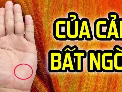 Thầy Tử vi chỉ rõ: Nhìn tướng tay hay hơn tướng mặt, người có 4 điều này 3 đời tiêu không hết của