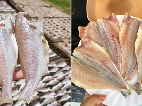 Loại cá ngày xưa chẳng ai thèm ăn, giờ thành đặc sản được xuất khẩu, tranh nhau mua