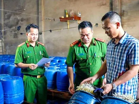 Mới Nhất: Khởi tố chủ cơ sở sản xuất 60 tấn giá đỗ ngậm hóa chất, người dân chú ý phân biệt giá đỗ