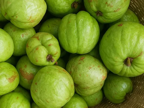 Quả tai chua - đặc sản miền núi với hương vị chua thanh, gây sốt mùa hè