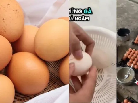 Thực hư thông tin trứng gà giả đang lan truyền trên mạng xã hội gần đây? Chuyên gia chính thức lên tiếng