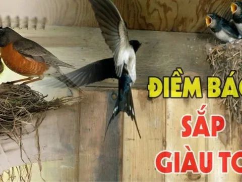 6 điềm lành đến cửa, gia đình đón tin vui, tiền bạc tứ phía đổ về