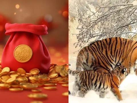 Gia đình có ba con giáp này, chỉ cần có một người, bốn đời con cháu không lo cơm ăn áo mặc