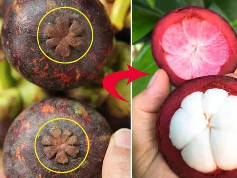 Mẹo chọn măng cụt tươi ngon, cùi dày, ngọt lịm, 10 quả như 10