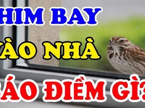 5 con vật Đệ Tử Thần Tài: Bước chân vào nhà nào nhà đó cực kỳ giàu có