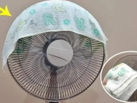 Mùa hè, chỉ cần đắp chiếc khăn vào quạt: Cả nhà mát rượi, ngủ ngon, tiết kiệm cả triệu tiền điện