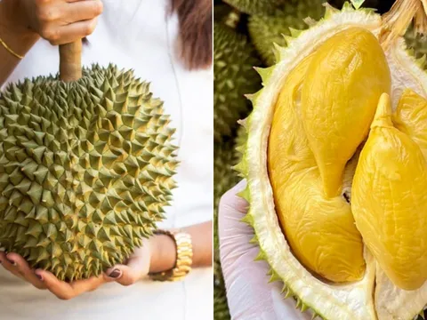 Mua sầu riêng phải nhìn đúng điểm này, chọn được chín ngọt tự nhiên, không hóa chất