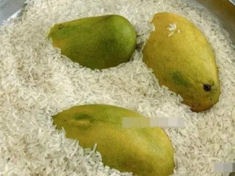 Gạo không chỉ để ăn: 7 công dụng bất ngờ bạn nên biết