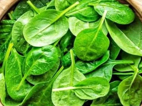 Loại rau rẻ bèo, nấu lên nhớt nhờ, bổ ngang nhân sâm, giúp giảm mỡ máu, giảm cân hiệu quả