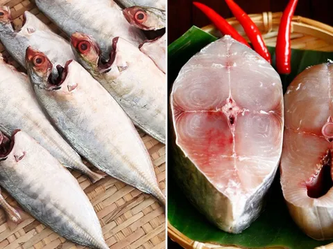 Ai không nên ăn cá? Cá bổ dưỡng đến cũng không được động đũa