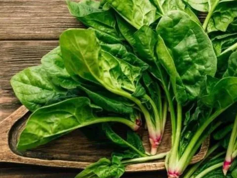 Loại rau giá rẻ trồng nhiều ở Việt Nam được chuyên gia Mỹ ca ngợi là 'vua bổ máu'