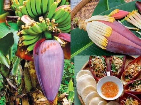 5 công dụng bất ngờ của Hoa Chuối, món ăn rẻ tiền giàu dinh dưỡng, nam nữ đều hưởng lợi