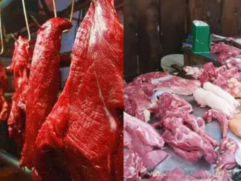Vì sao con người chủ yếu ăn thịt động vật ăn cỏ thay vì động vật ăn thịt?