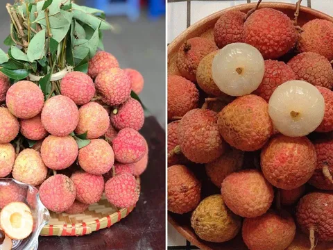 Mùa vải thiều đến, học ngay 4 mẹo chọn vải thiều ngọt, dày cùi, không bị sâu đầu