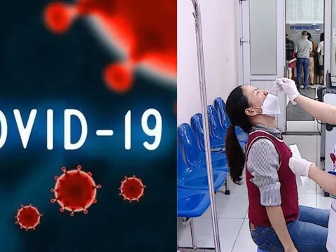 Bộ Y tế chỉ đạo Hỏa Tốc phòng chống dịch bệnh Covid-19, Sốt Xuất huyết