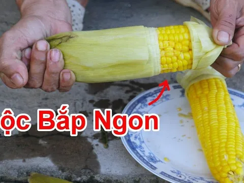 Luộc ngô không cần đường: Người bán tiết lộ cách luộc đơn giản ngô dẻo, ngọt, thơm nức mũi