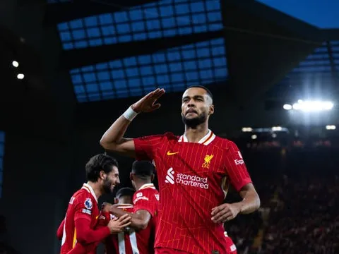 Liverpool cân nhắc bán Cody Gakpo cho Bayern