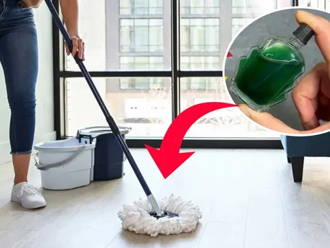 Nhỏ vài giọt dầu gió vào nước lau nhà, biết lợi ích, nhà nào cũng muốn làm theo