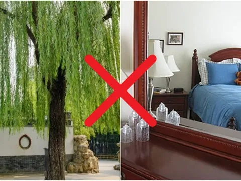 3 không trồng trước cửa, 4 không đặt lên giường cả người và của đều lao đao: Đó là gì?