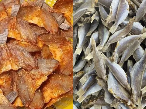 Loại cá tạp từng bị xem nhẹ, nay thành đặc sản 280.000đ/kg, xuất khẩu khắp thế giới