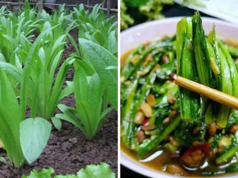Loại rau "bình dân" canxi gấp 36 lần nước hầm xương, bổ hơn tổ yến: Chợ Việt bán rất nhiều giá rẻ như cho