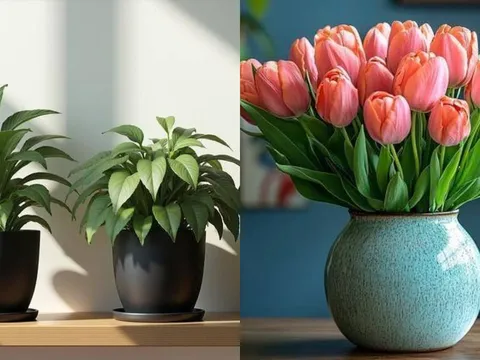 Rắc một nắm thứ này vào chậu, hoa dù khó trồng đến mấy cũng bật rễ, xanh lá, đầy tràn chậu