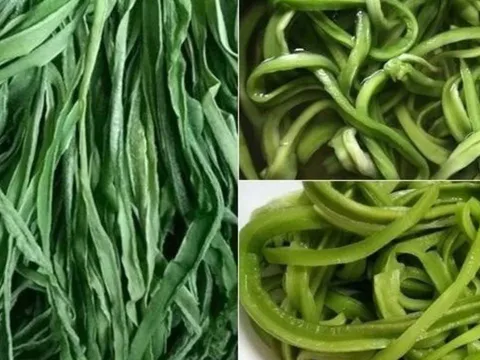 Bật mí loại rau đắt hơn thịt, bổ ngang nhân sâm, Việt Nam có nhiều nhưng ít người biết để ăn