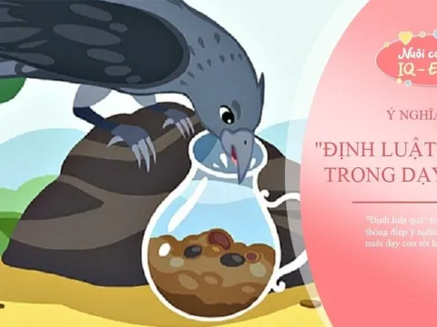 Con cái ương bướng hỗn hào: Áp dụng ngay 'Luật Quạ' này dạy con văn minh, đúng cách
