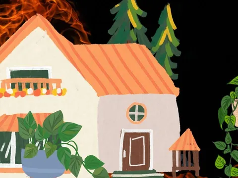 Có nên trồng cây trầu bà trong nhà? Vị trí nào tốt nhất để trầu bà thu hút tài lộc?