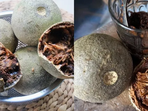 Ruột đen, vỏ mốc trắng, mùi kỳ quặc – Món đặc sản lạ khiến thực khách mê mẩn
