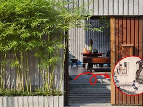 3 thứ không đặt trước cửa, không trồng 3 cây ngoài sân: Là cây gì, thứ gì?