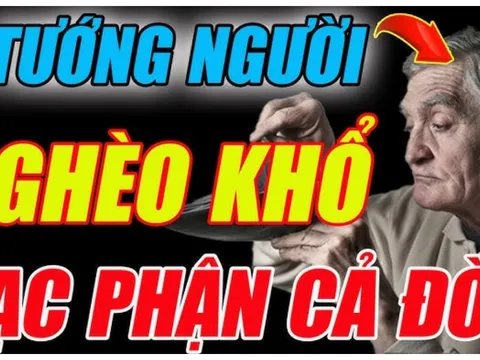 4 kiểu đàn ông trả thì đau ốm hao tài, già thì cô đơn: Phụ nữ chọn chồng nên tránh, đó là kiểu nào?