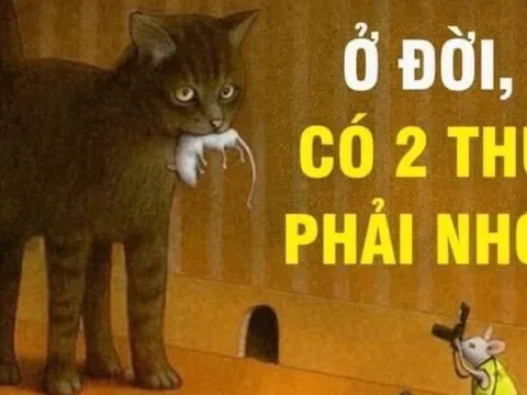 Cuộc đời chỉ có 2 thứ thật sự thuộc về bạn: Có người đến cuối đời mới nhận ra đã quá muộn