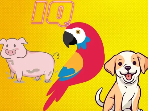 Lợn, chó hay vẹt thông minh hơn? Nhiều người sẽ vô cùng bất ngờ về trí thông minh của 3 loài vật này