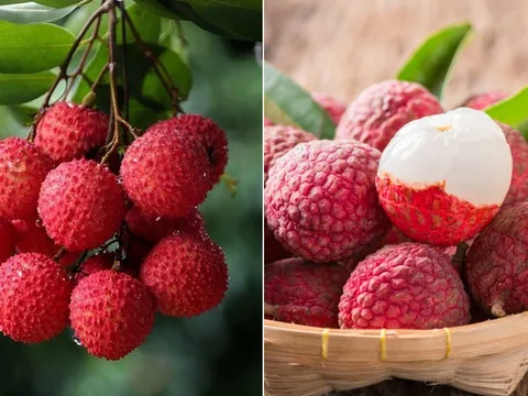 Lưu ý khi ăn vải để không bị nóng trong