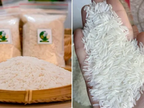 Mẹo nhận biết gạo ST25 chuẩn, nhìn đúng điểm này để không mua phải hàng giả