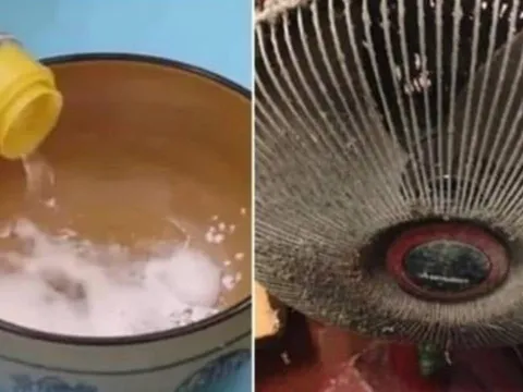 Cách vệ sinh quạt điện sạch bong như mới, không cần tháo khung, chỉ mất vài phút